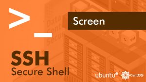 Menggunakan Perintah Screen di Linux